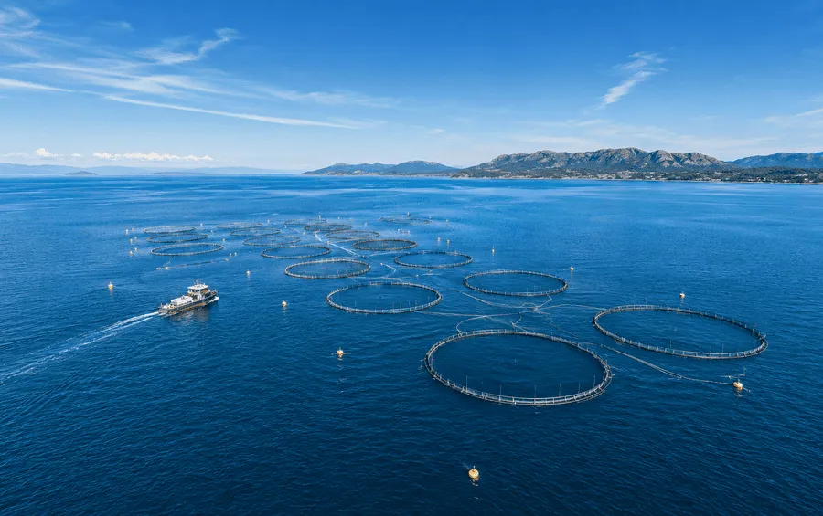 Aquaculture cages and coastal fish farming equipment